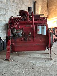 Motore Case IH DT466 / DT436 Turbo 6 Cilindri