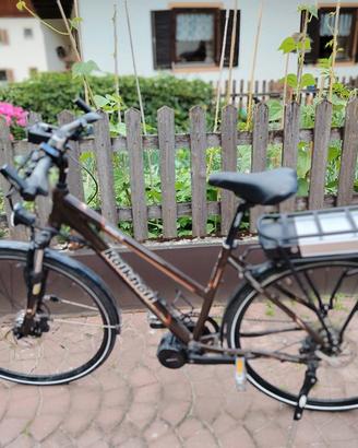 Bicicletta donna Ebike