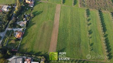 Terreno agricolo 3,5 HA ca. fronte strada | TR344