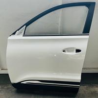 Porta anteriore sinistra DR.5