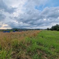 Terreno edificabile 4.000 mq - Zona artigianale/lo