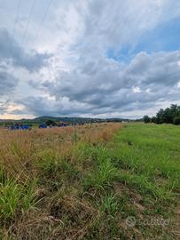 Terreno edificabile 4.000 mq - Zona artigianale/lo