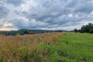 Terreno edificabile 4.000 mq - Zona artigianale/lo