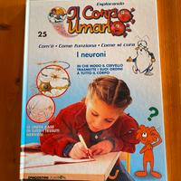 Esplorando il corpo umano i neuroni