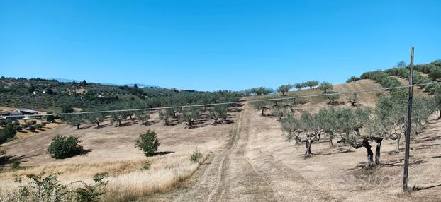 Terreno agricolo a Pianella