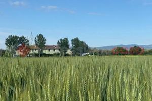 Duplex Campi Bisenzio [VIGNACERRVRG]
