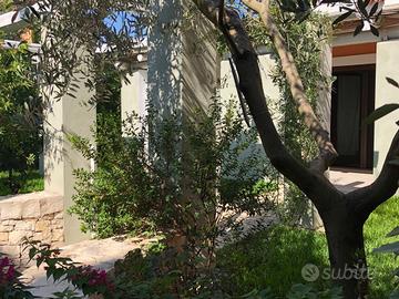 PRIVATO:- ARGONAUTI Bivani Arredato LIBERO