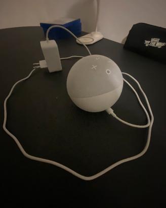 echo dot