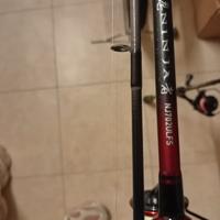 canna spinning trout area daiwa