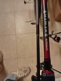 canna spinning trout area daiwa