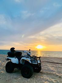 Quad Arctic Cat 500 4x4