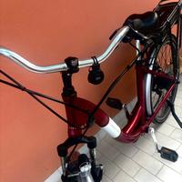 Bicicletta elettrica
