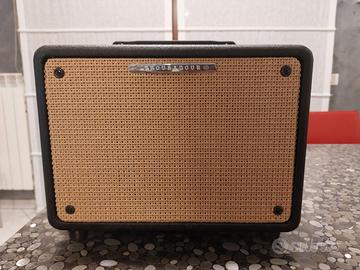 Amplificatore per chitarra acustica Ibanez