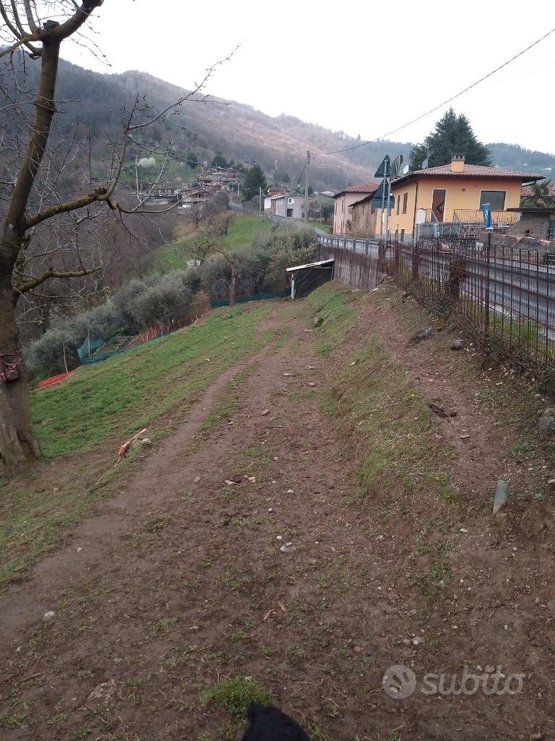 Terreno agricolo - View 5