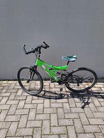 Bicicletta Vicini