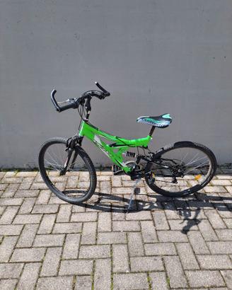 Bicicletta Vicini