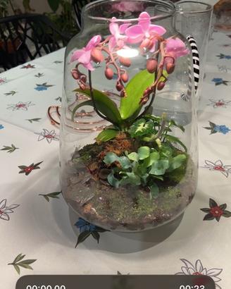 Terrario