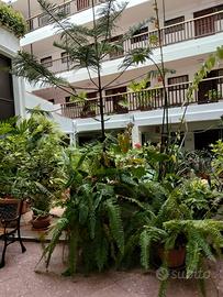 Investimento. Canarie- Puerto de la Cruz