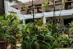 Investimento. Canarie- Puerto de la Cruz