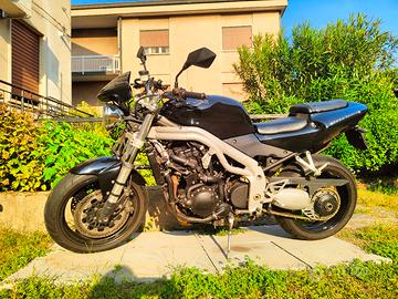 Triumph Speed Triple 955i