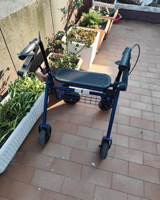 carello per anziano 