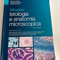 istologia Wheather