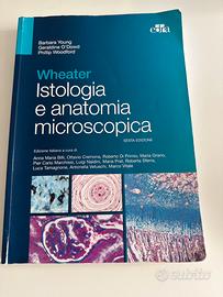 istologia Wheather