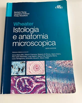 istologia Wheather