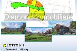 Terreno 22.260 mq con rustici a sant'alfio