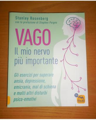 Nervo VAGO + Muscolo PSOAS (nuovi)