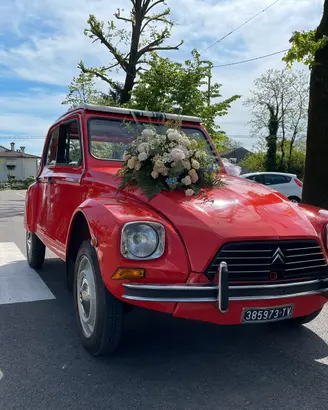 Citroen Dyane 6 ( 2 cv )