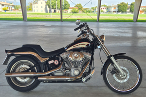 Harley Davidson Softail 1584cc, meno km in Italia