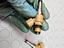 Immagine 8