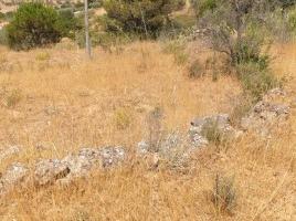 Terreno all'asta TRIBUNALE DI ENNA - R. G. 17/2022