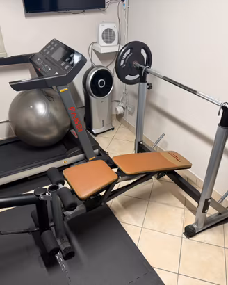 Panca da palestra