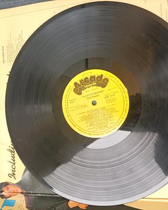 disco vinile 33 giri