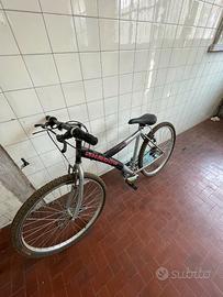 MOUNTAIN BIKE SHADOW "ARROW"