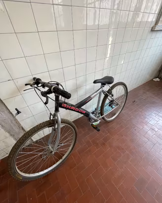 MOUNTAIN BIKE SHADOW "ARROW"
