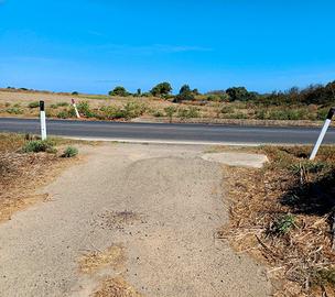 Terreno agricolo