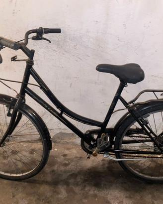 Bici Donna ruote 26