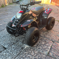 Quad lem 125 per bambini