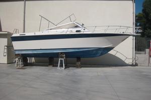 Piantoni amalfi 31