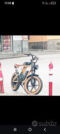 bici elettrica 