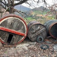 Botti da arredo giardino