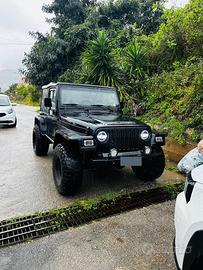 Jeep Wrangler tj neopatentati