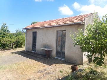 Frutteto con annessa casetta