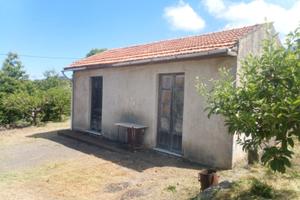 Frutteto con annessa casetta