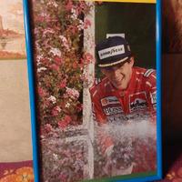 Quadretto Ayrton Senna 