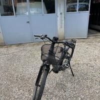 Bicicletta elettrica