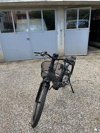 Bicicletta elettrica